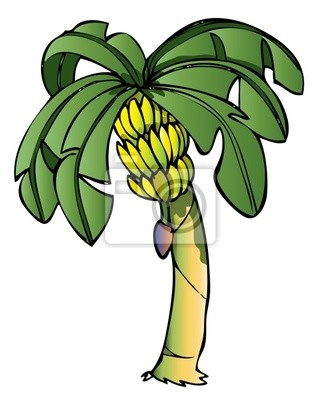 Banana tree cartoon images.