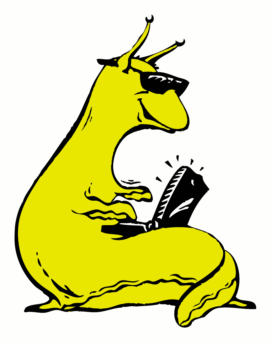 banana slug.