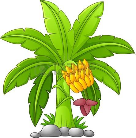 Banana tree clipart 20 free Cliparts | Download images on Clipground 2022