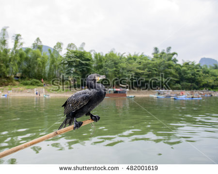 Carbo Stock Photos, Royalty.