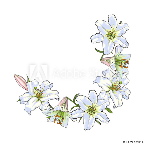 Half round frame of white lily flowers, decoration element.