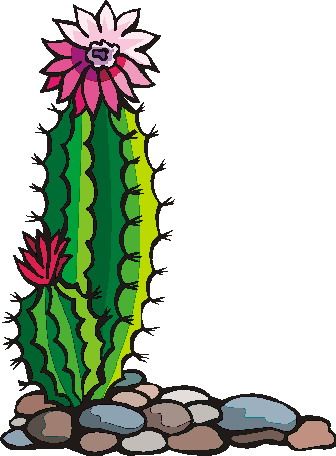 1000+ ideas about Cactus Clipart on Pinterest.