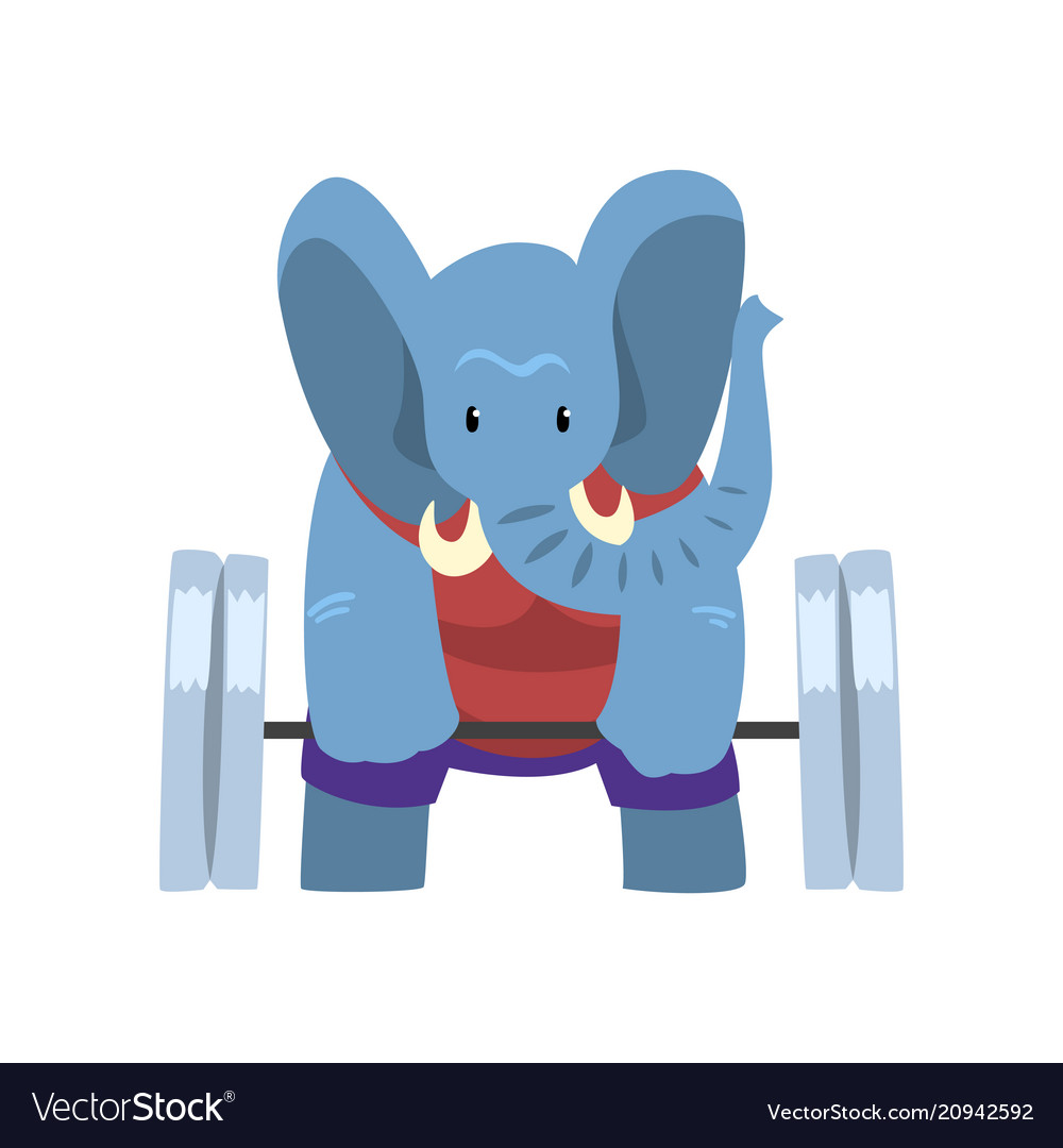 Elephant exercising with a barbell funny sportive vector image.
