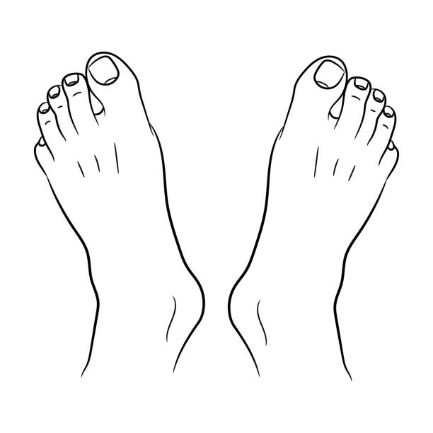 bare feet clip art 20 free Cliparts | Download images on Clipground 2024