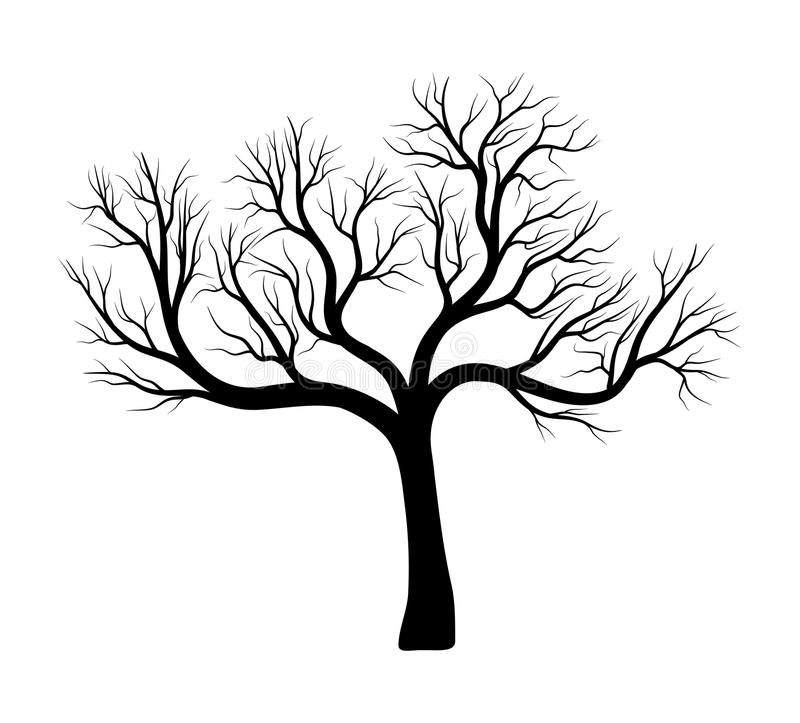 bare oak tree clip art 20 free Cliparts | Download images on Clipground