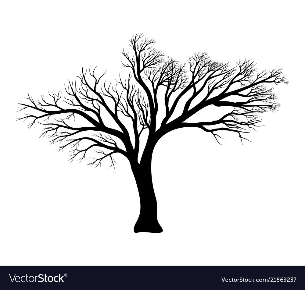 bare tree silhouette clipart 10 free Cliparts | Download images on