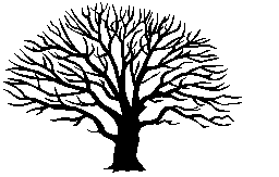 Bare trees clipart - Clipground
