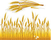 Wheat Clipart Illustrations. 20,209 wheat clip art vector EPS.