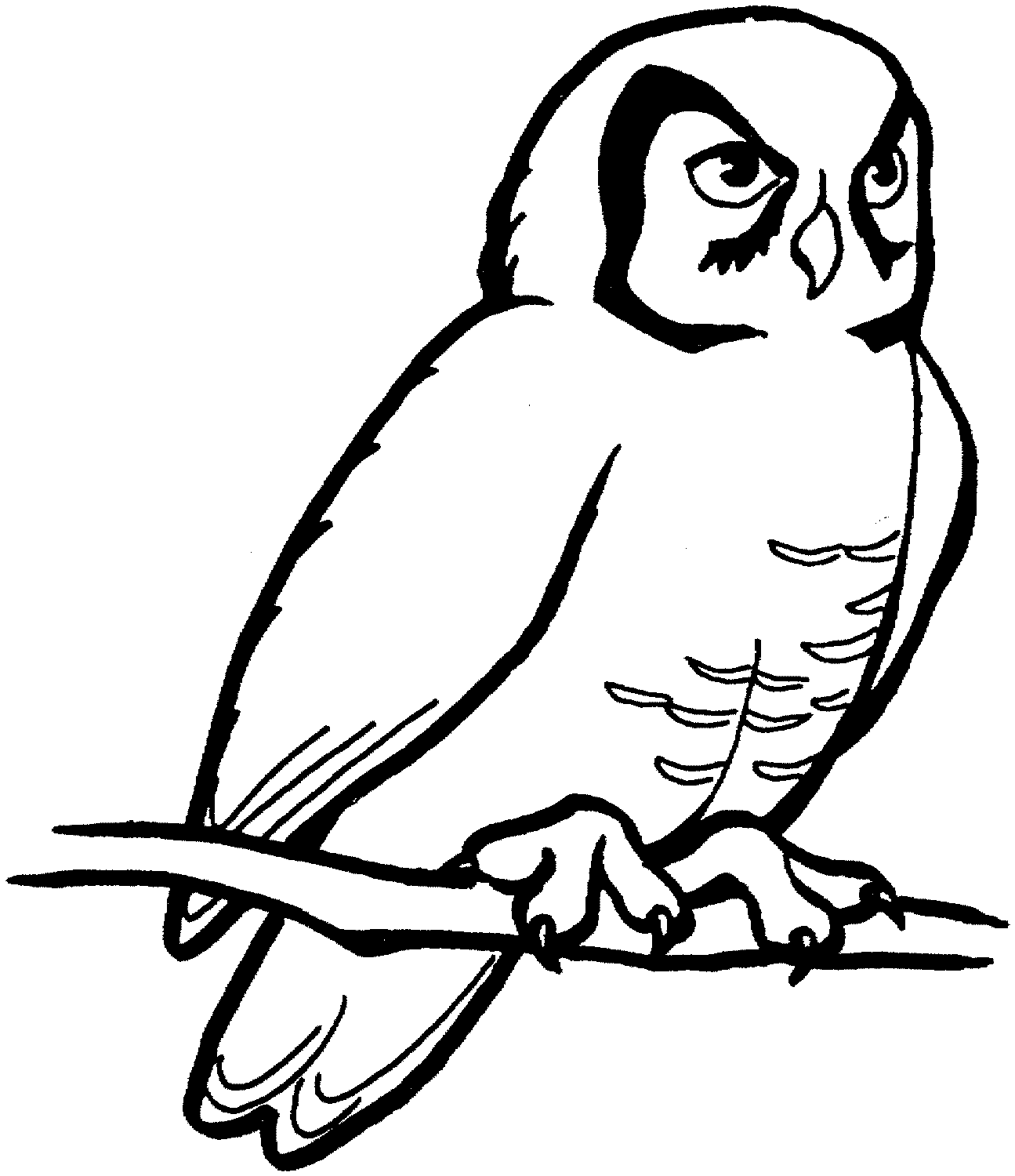Free Cartoon Barn Owl, Download Free Clip Art, Free Clip Art.