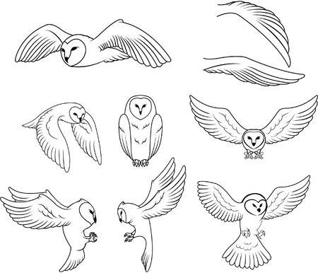 Clipart Barn Owl & Free Clip Art Images #19761.