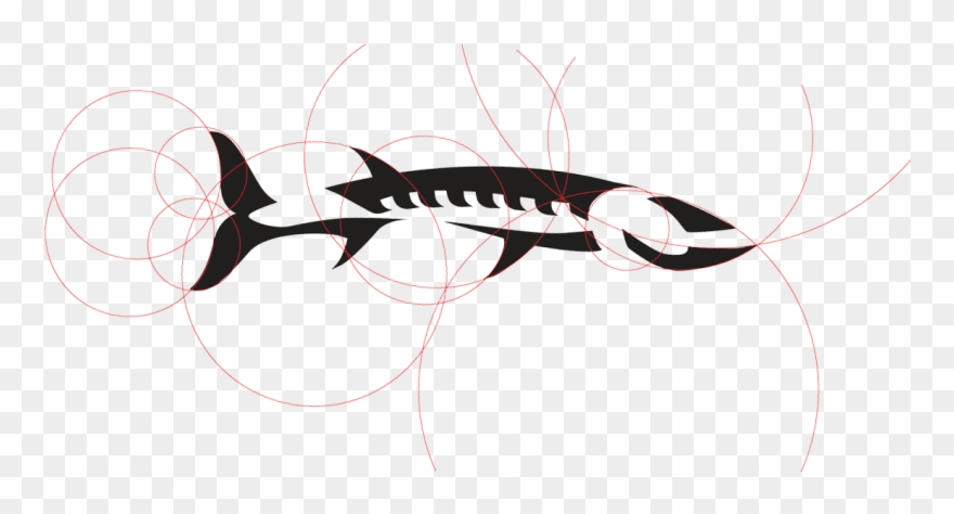 Barracuda Fish Logo.