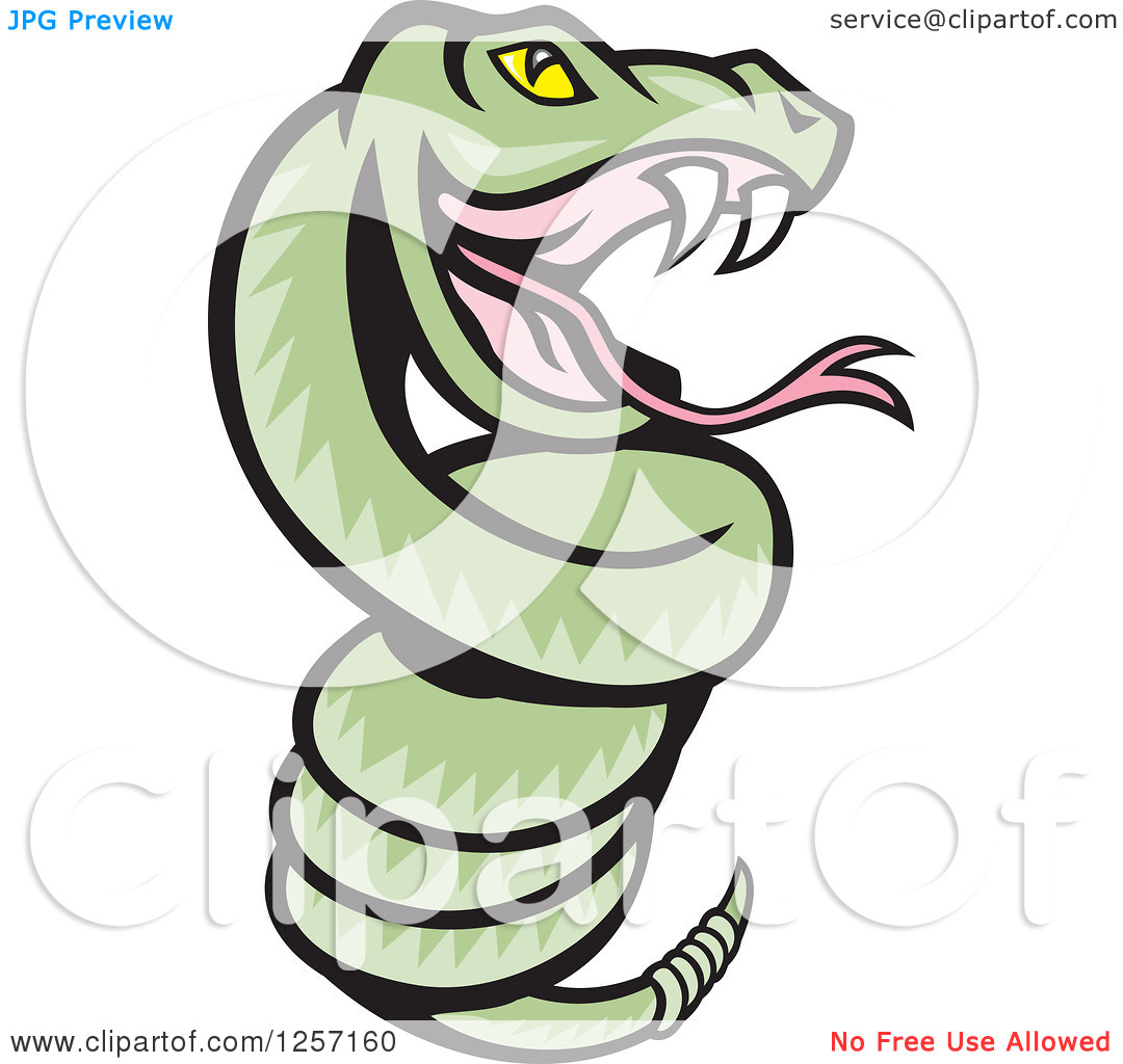 Clipart of a Cartoon Green Rattle Snake Coiled.