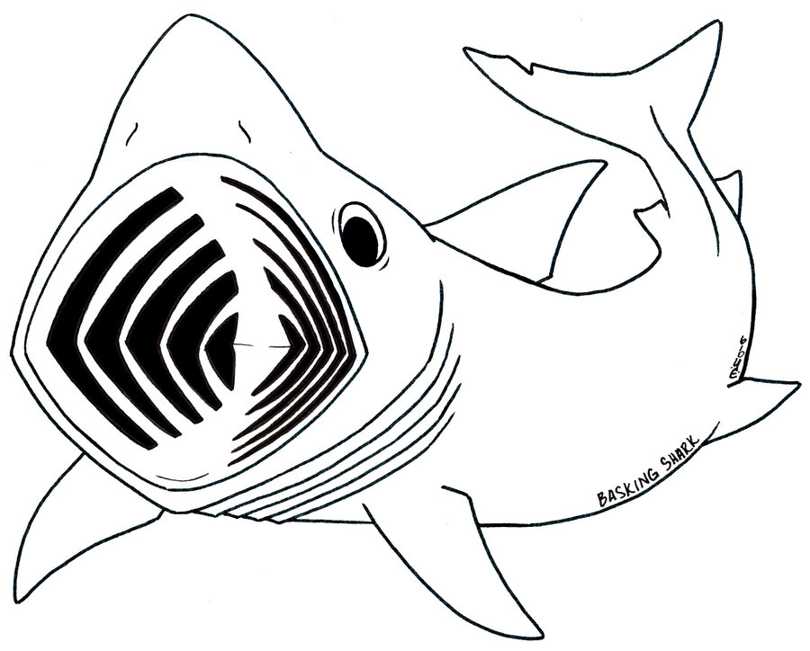 Basking Shark Clipart.