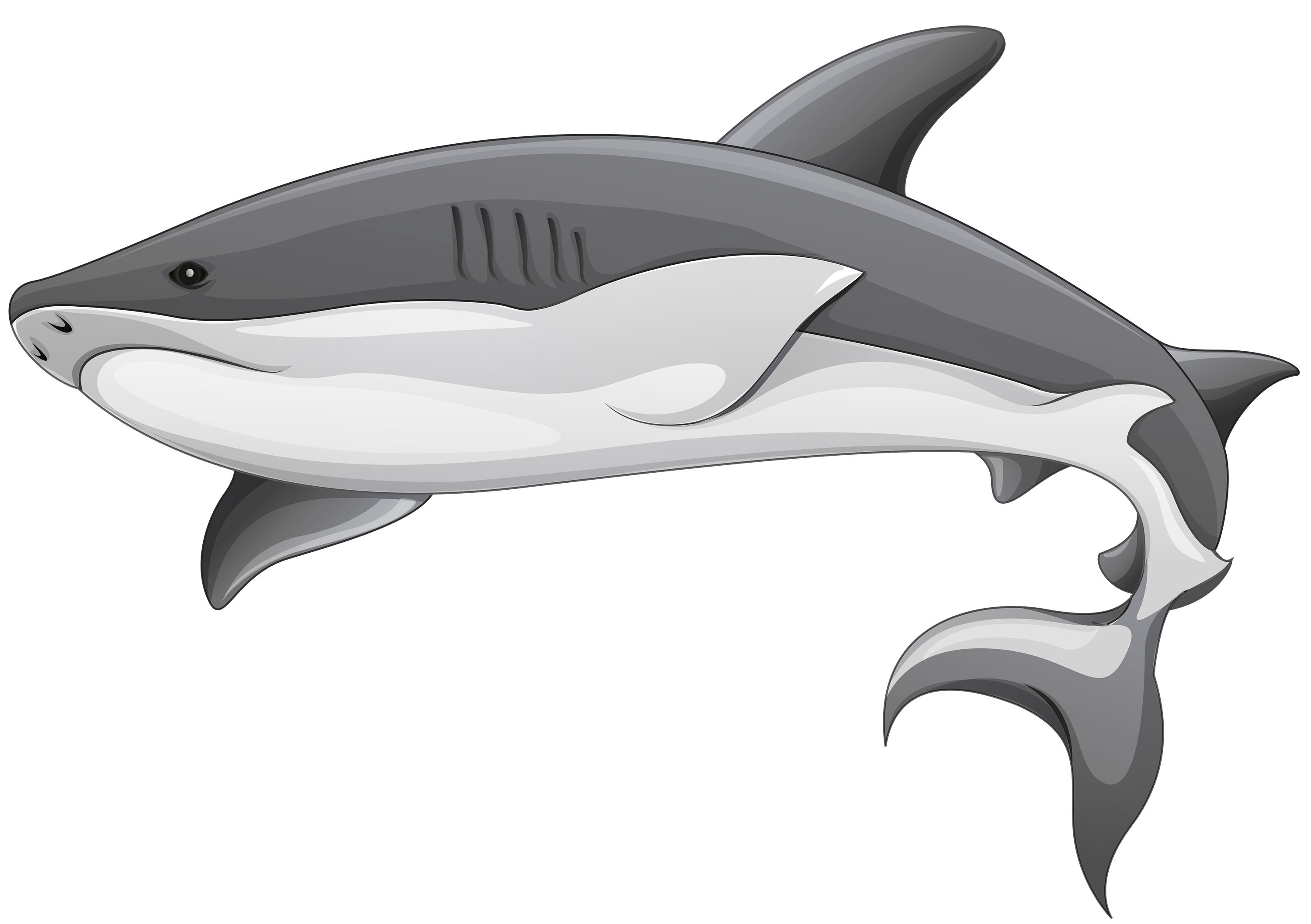 Free Free 239 Transparent Background Svg Baby Shark Clipart SVG PNG EPS DXF File