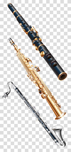 China Soprano saxophone Musical instrument, Saxophone music.