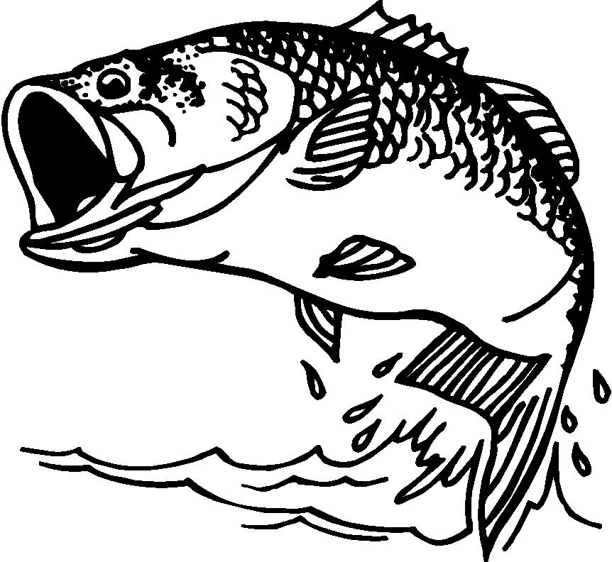 bass fish clip artBass Fish Clipart From Votes Quoteko OgHw6J4V.