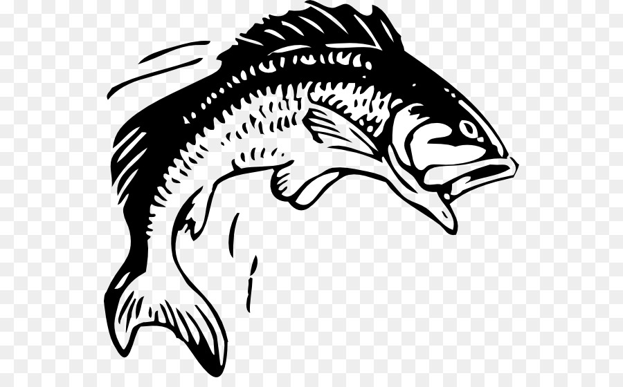 Free Free 274 Largemouth Bass Fish Svg Free SVG PNG EPS DXF File