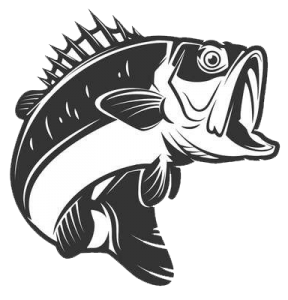 Free Free 329 Outline Bass Fish Svg SVG PNG EPS DXF File
