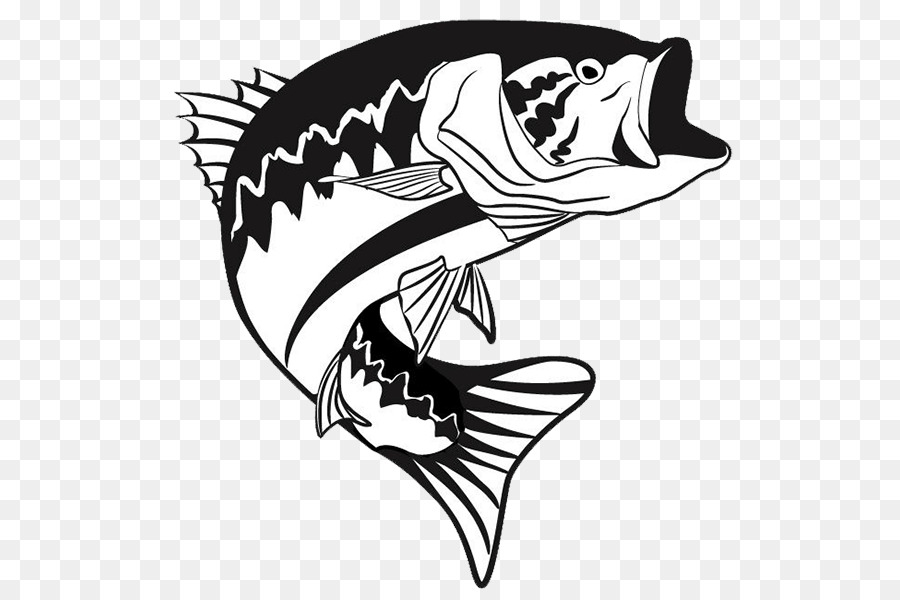 Largemouth Bass Fish.