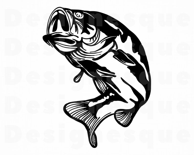 bass fish clipart 20 free Cliparts | Download images on ...
