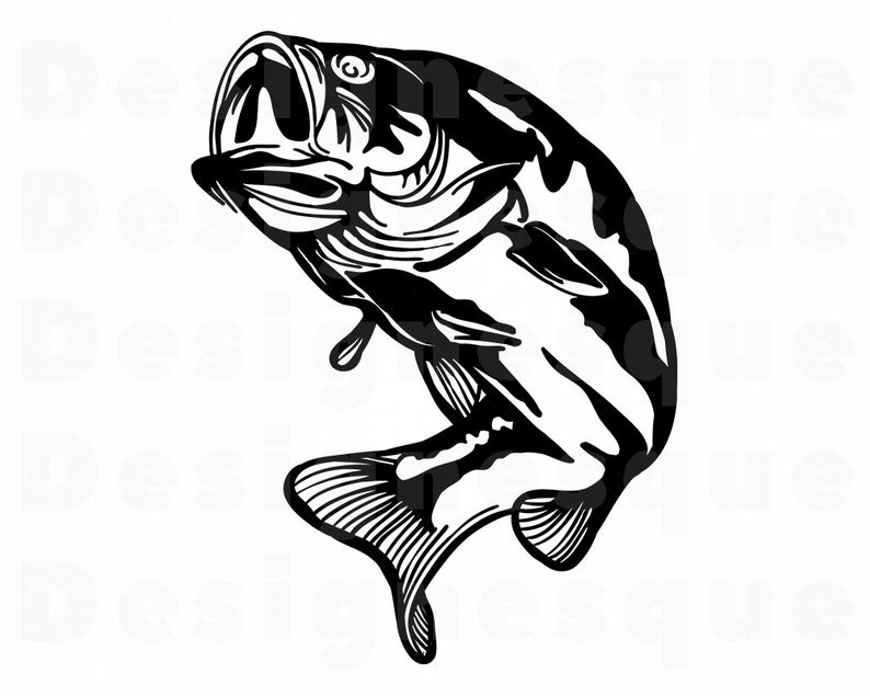 Download bass fish clipart 20 free Cliparts | Download images on Clipground 2020