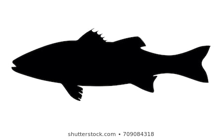 Download bass fish silhouette clip art 20 free Cliparts | Download ...