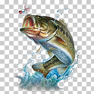 bass fishing background border clipart 10 free Cliparts | Download ...