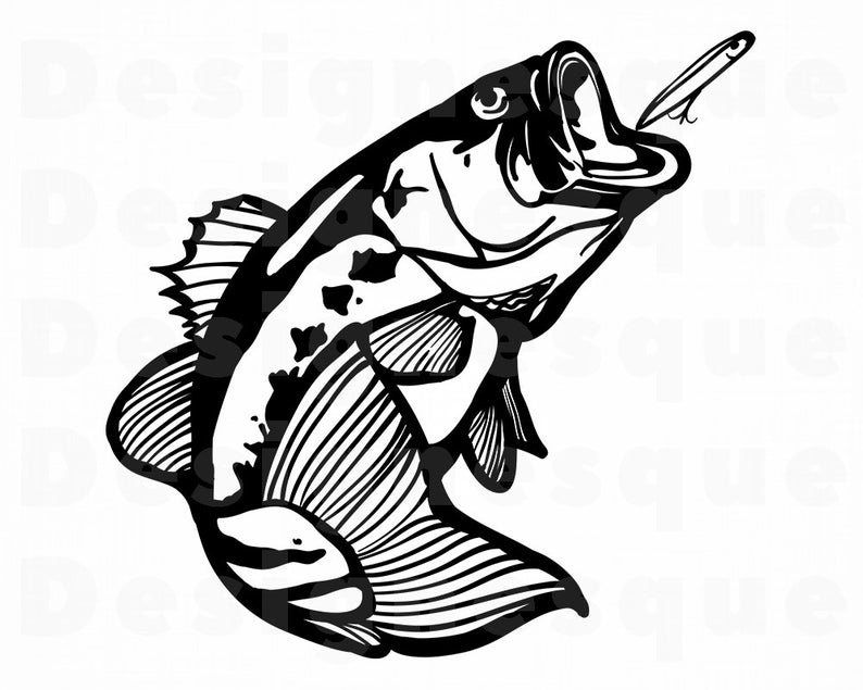 bass fishing clip art 20 free Cliparts | Download images ...