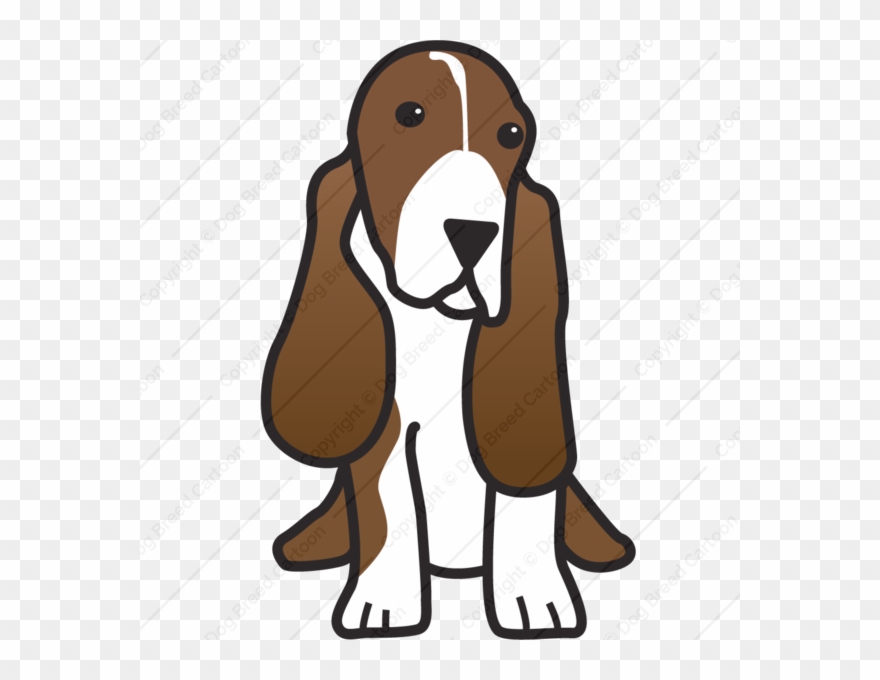 Cartoon Basset Hound Clipart Basset Hound Beagle Puppy.