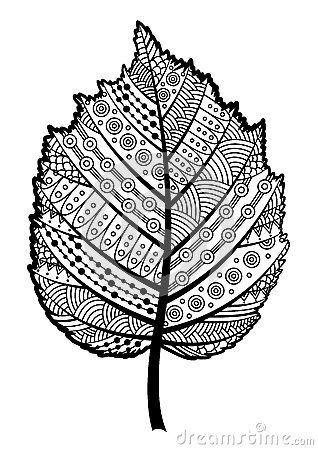 Basswood Tree Coloring Pages.