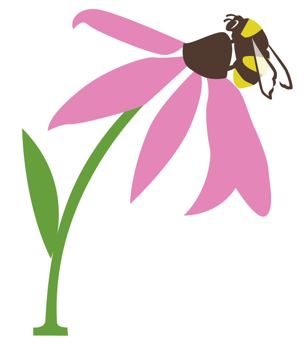 Bat Pollination Clipart 20 Free Cliparts Download Images On