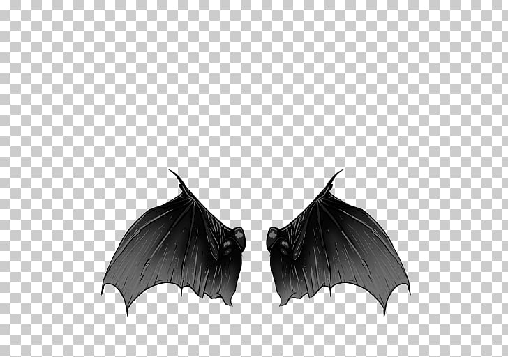 Bat Wing , bat PNG clipart.