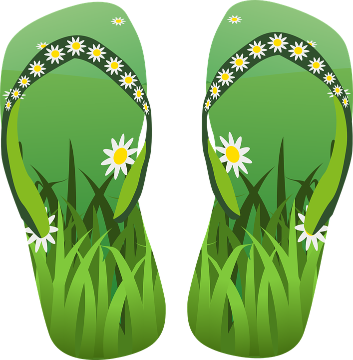 Free vector graphic: Bathing Shoe, Thongs, Slippers.