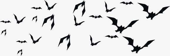 Halloween Bat, Bat, Wing, Bird PNG Transparent Image and Clipart for.