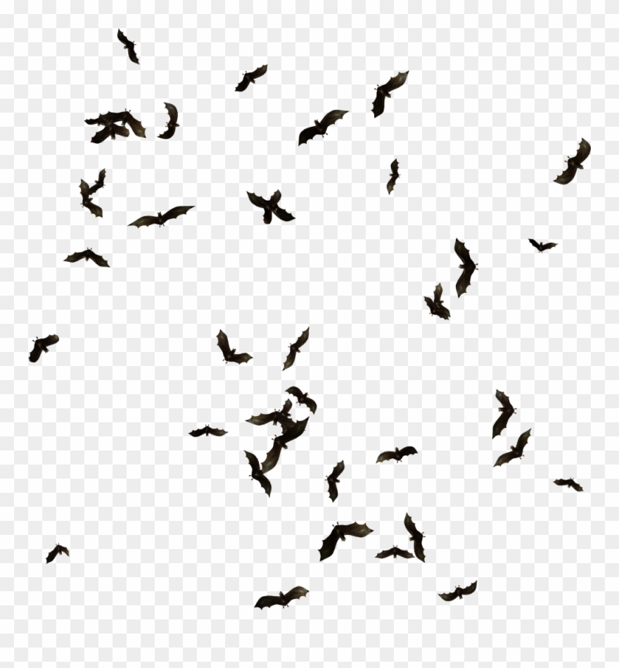 Swarm Of Bats Png Clipart (#1594539).