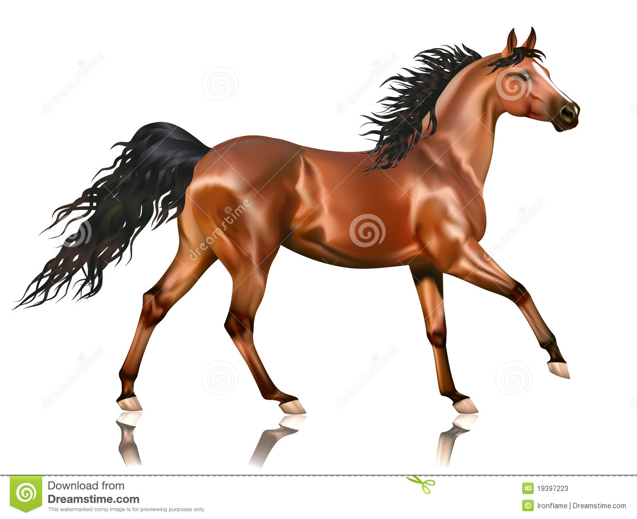 Vector Realistic Bay Horse Isolated Stock Photography.