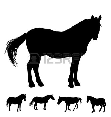 259 Bay Horse Stock Vector Illustration And Royalty Free Bay Horse.
