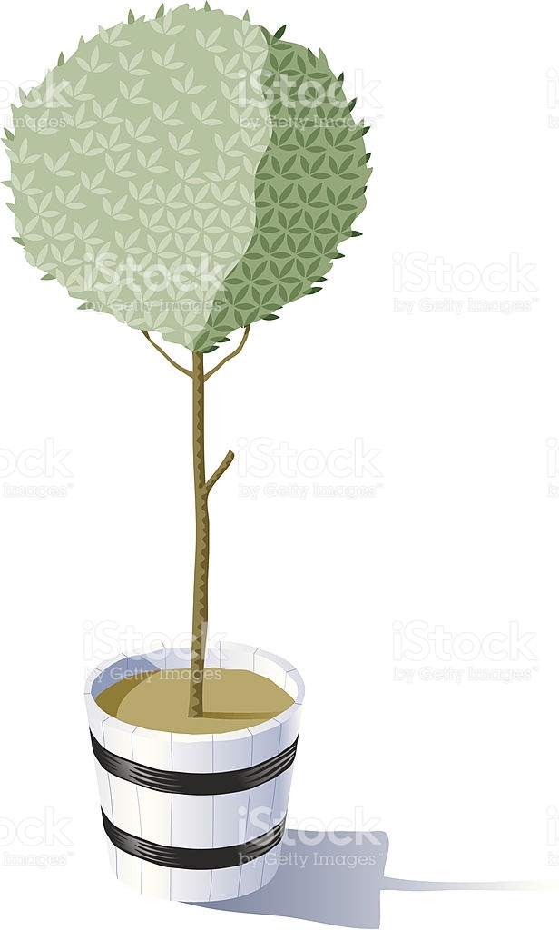 Bay tree clipart 20 free Cliparts | Download images on Clipground 2021