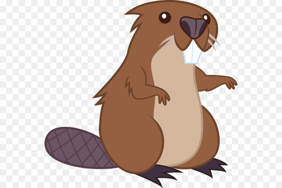 Beaver Cartoon clipart.
