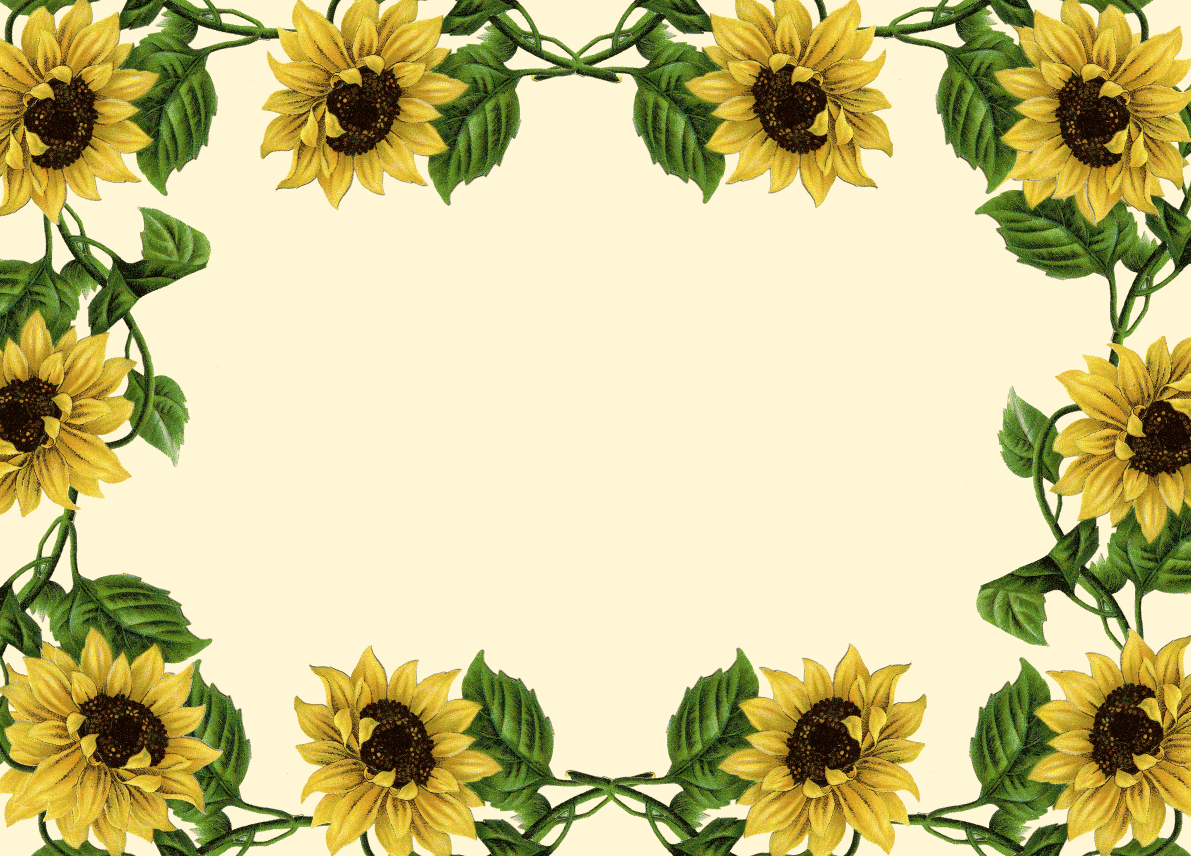 Download free sunflower border clipart 10 free Cliparts | Download ...