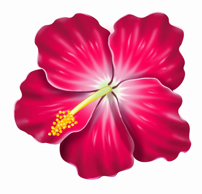 Beach Flower Clipart.