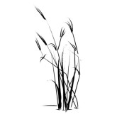 Grass Clipart Black And White.