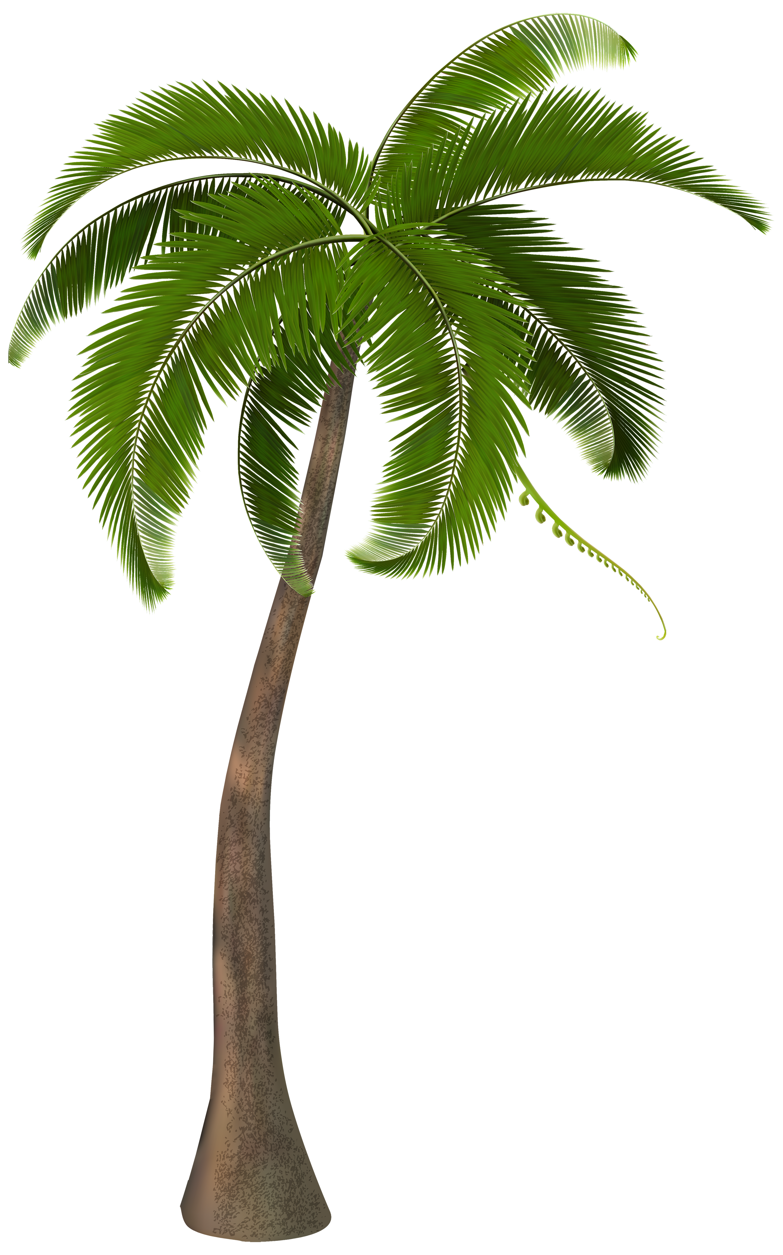 Beach Shack With Palms Clipart 6 