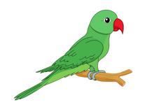 Parrot Clip Art & Parrot Clip Art Clip Art Images.
