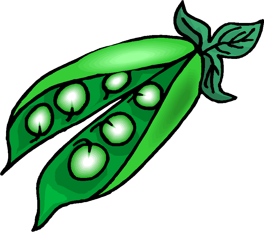 Free Bean Cliparts, Download Free Clip Art, Free Clip Art on.