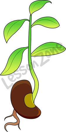 Plant Sprout Clipart.