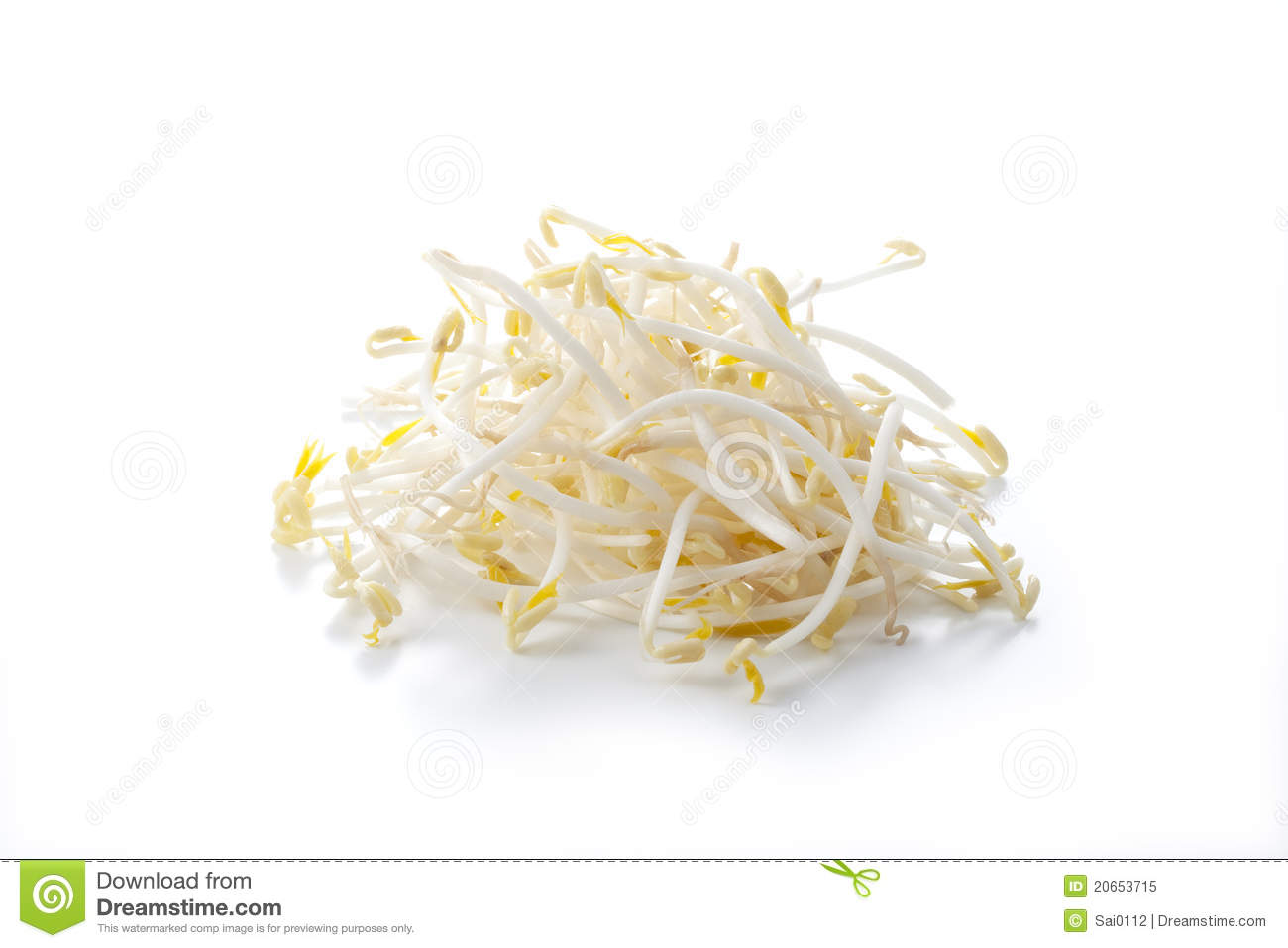 Bean Sprouts Royalty Free Stock Photo.