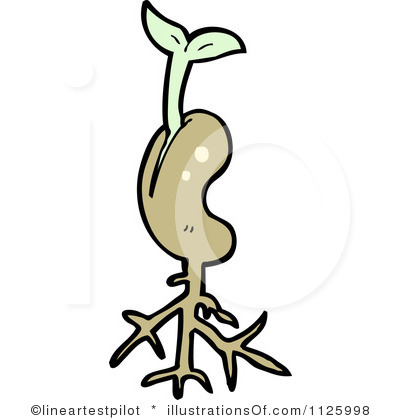 Bean Sprout Clipart.