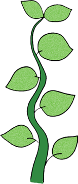 Jack And The Beanstalk Clip Art.