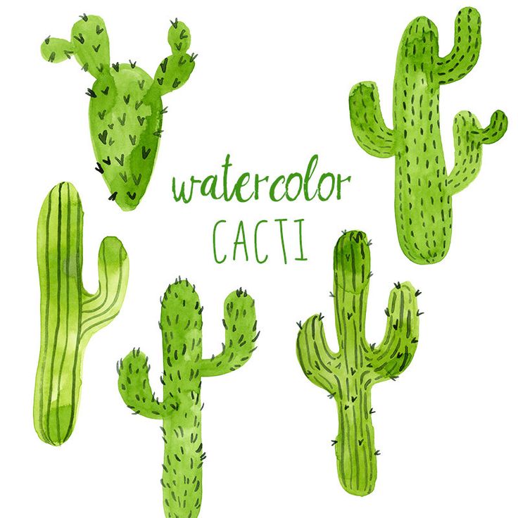1000+ ideas about Cactus Clipart on Pinterest.